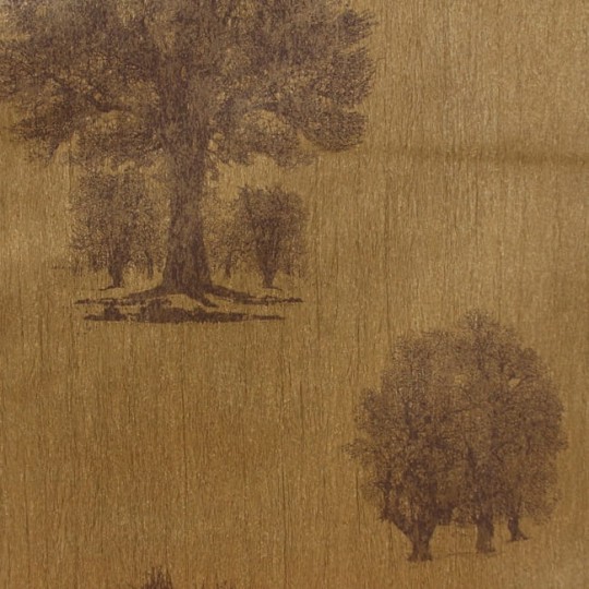 Tapeta York Enchantment ET2065