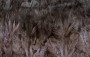 f75a55ed49192bbbdf7ce22fe1bc6214