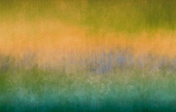 d810acfabeed35211d995a0142231248