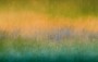 d810acfabeed35211d995a0142231248