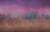 e886d4e46c165855ee07b972dfc01e46