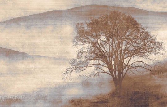 Texam ID900 ID Mist - mural w górski krajobraz we mgle