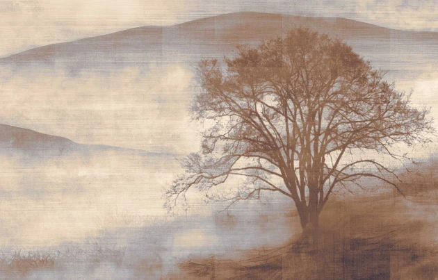 Texam ID900 ID Mist - mural w górski krajobraz we mgle