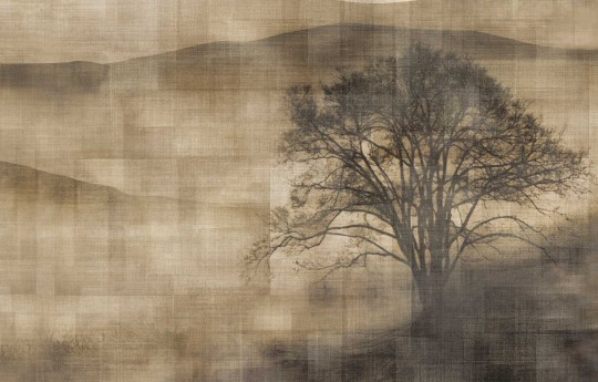 Texam ID901 ID Mist - mural w górski krajobraz we mgle