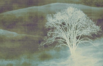 359136ccf31fcc687041f5c1edbcfab6