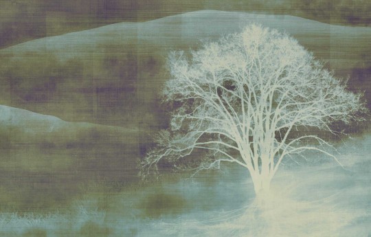 Texam ID903 ID Mist - mural w górski krajobraz we mgle