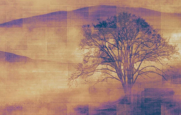 Texam ID905 ID Mist - mural w górski krajobraz we mgle