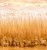 3e619098dc4a359482122ba1c65ed5b2