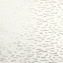 e5e1ac6f63dfb66c076c54f4d0ed881c
