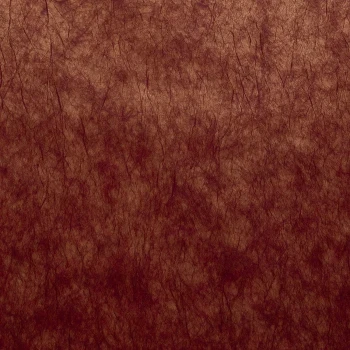 0a961823fec5d8e6aaad5edb036bb0fa