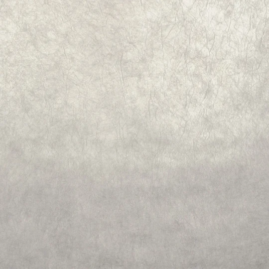 Casamance 71880106 Impulsion Oxea Perle argenté - tekstylna tapeta metaliczna