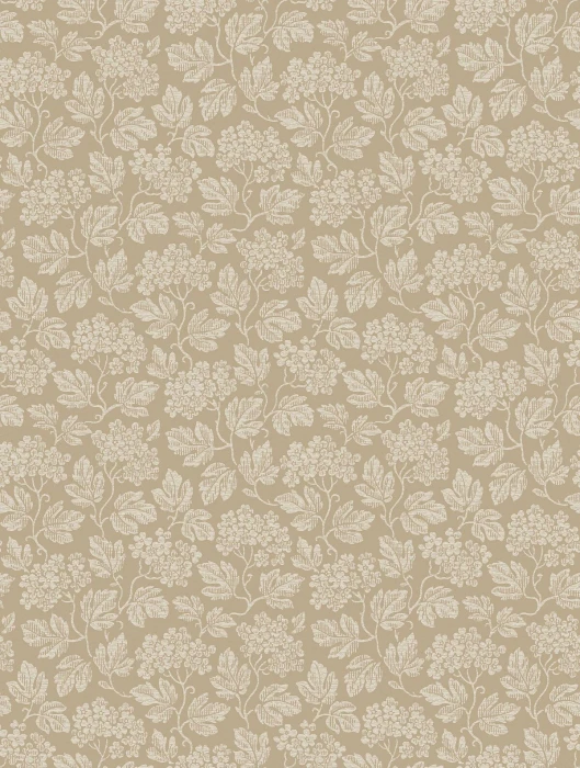9349b27c671019e28977c06cc9383404