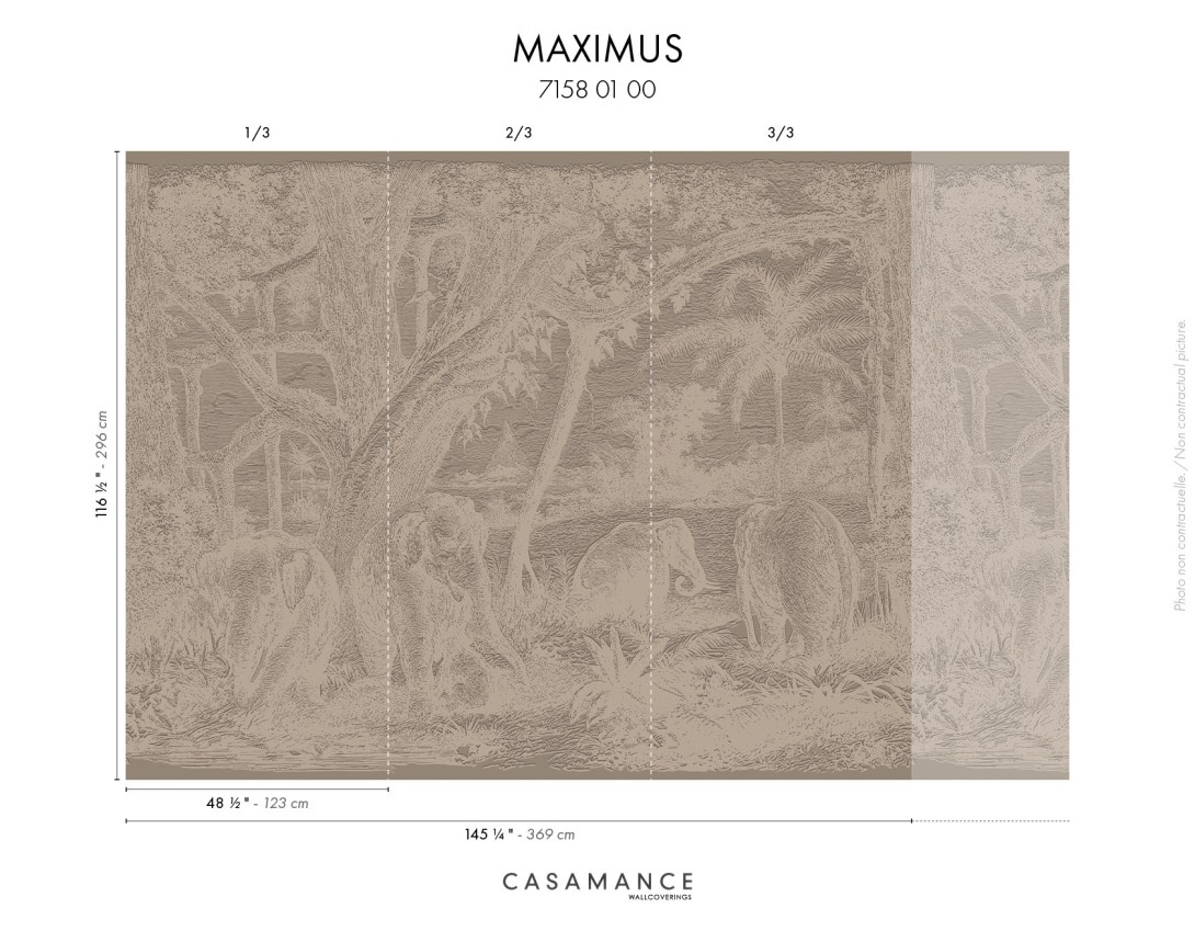 Casamance 71580100 Exploration Maximus Brun tabac - satynowy mural w słonie