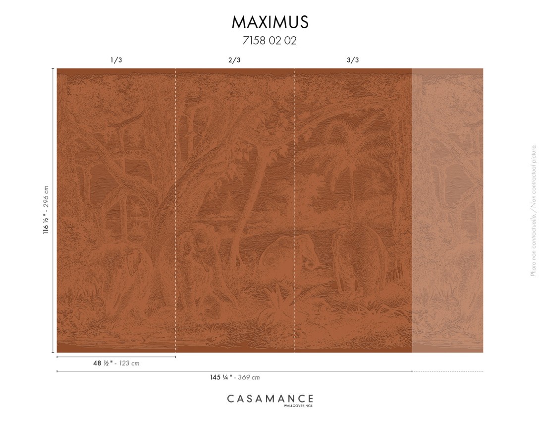 Casamance 71580202 Exploration Maximus Terracotta - satynowy mural w słonie