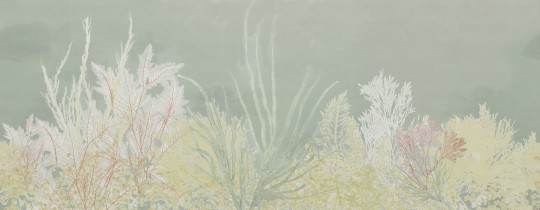 Wall&decò WET_AL2501 Wet System 2025 Algife - mural w rośliny podwodne