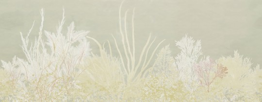 Wall&decò WET_AL2502 Wet System 2025 Algife - mural w rośliny podwodne