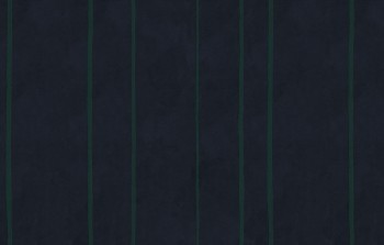 1a915572ef33f8dbab07e47ecb315979