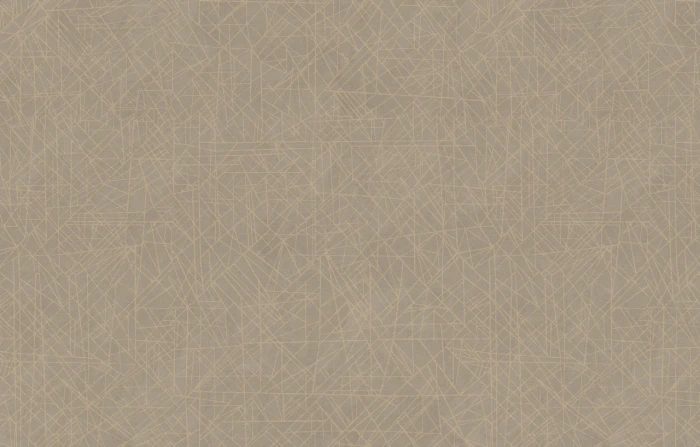 ac7e5549127fa96fbe63465547d487b6