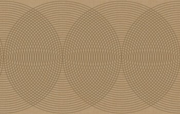 6c4355f5ebaced6bcd0bf51fbf257863