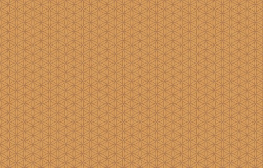 Texam E55 Element Seed of Life - tapeta w przenikające się okręgi