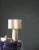 42d111dc076546770348307fc21e92c6