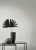 80e020d1de671261d8b9182b29081718