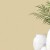 100de102dab5e0dc01b5317ce8788ea1