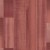 a2ba5c20cb57a1fb5213cb9943b37c81