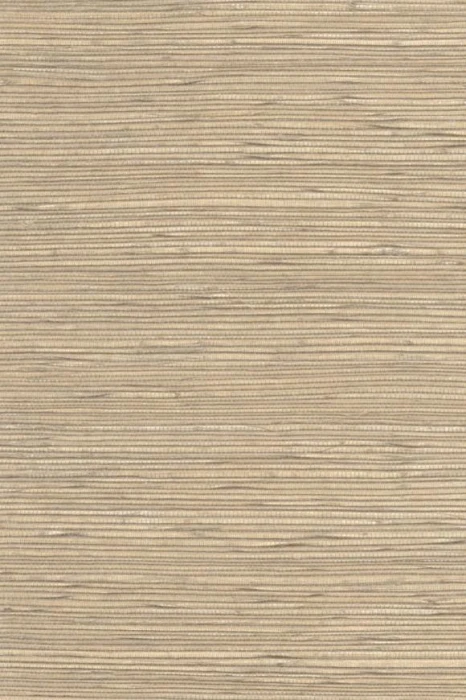 Arte-52407