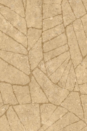 Arte 30335 Essentials Kaolin Fragment Sahara - tapeta imitująca tynk w organiczny wzór