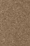 a9657233e1038e835e5e8188a11675cd