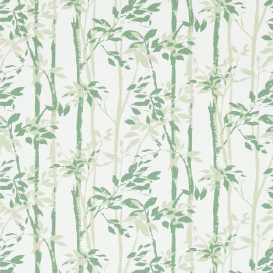 Tapeta Sanderson Vintage Wallpapers 2 214575 Beechgrove