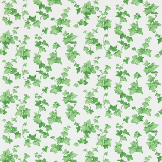Tapeta Sanderson Vintage Wallpapers 2 214593 Hedera