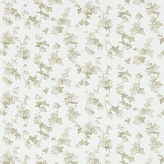 Tapeta Sanderson Vintage Wallpapers 2 214595 Hedera