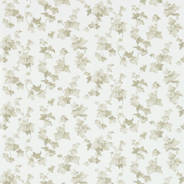 Tapeta Sanderson Vintage Wallpapers 2 214595 Hedera