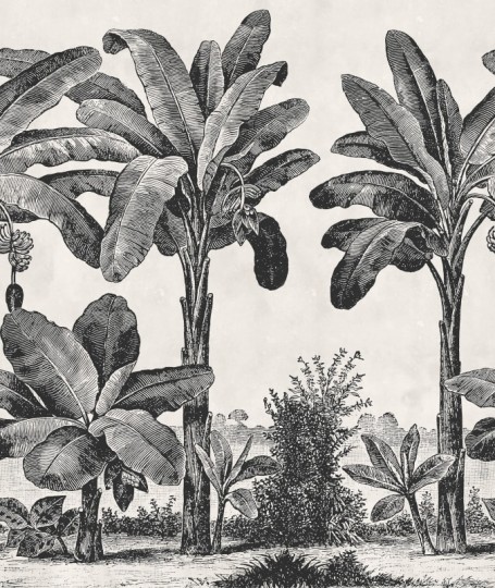 Rebel Walls R20890 Eden Escape Timeless Tropics Black & White - mural w tropikalny pejzaż