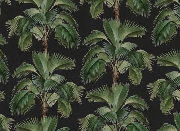 Rebel Walls R21442 Eden Escape Tropical Rhythm Black - mural w palmy