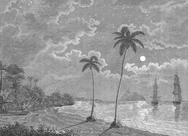 Rebel Walls R20897 Eden Escape Palm Beach Black & White - mural w tropikalną plaże i palmy