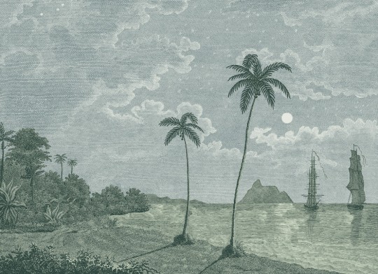 Rebel Walls R20898 Eden Escape Palm Beach Blue - mural w tropikalną plaże i palmy