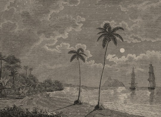 Rebel Walls R20899 Eden Escape Palm Beach Vintage - mural w tropikalną plaże i palmy