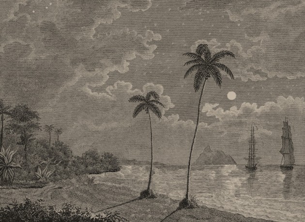 Rebel Walls R20899 Eden Escape Palm Beach Vintage - mural w tropikalną plaże i palmy