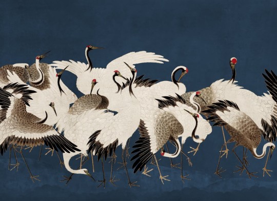Rebel Walls R20900 Eden Escape Dancing Cranes Blue - mural w tańczące żurawie