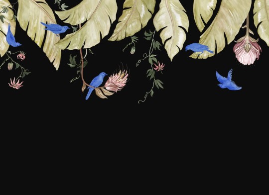 Rebel Walls R21464 Eden Escape Birds in the Trees Black - mural w baldachim z liści i ptaków