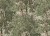 21c4a697bde2eb13eaf0370309634007