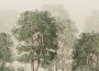 076856883cfd7ebdd6016ea8458fd7e0