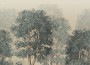 e68470d1b6ac3c2b85c7adcc179e32bd