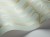32e6065ee4c04e69bd89d2f10f8c4528