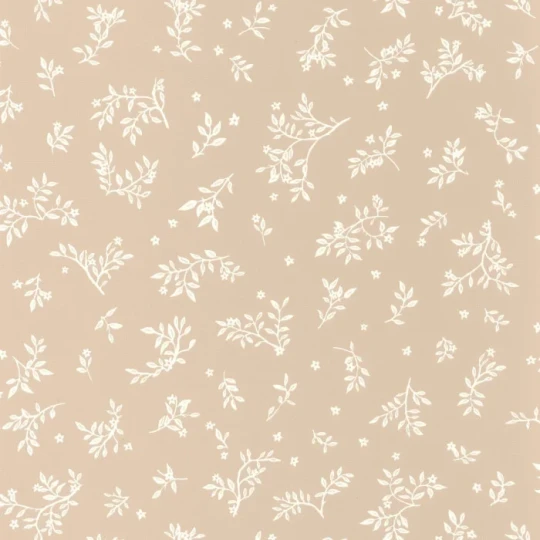 Caselio 103641000 Kitchen Box Callisto Sable - tapeta w minimalistyczne rośliny