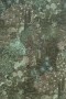 288ec58194ba523ae60a620eae852dce