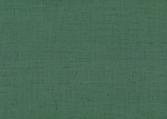 Armani Casa 8007 Graphic Elements 3 Fukue - tapeta tekstylna imitująca płótno